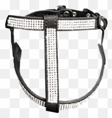 Luxury Dog Boutique U2014 Winter Coats Harnesses Unique - Martingale png