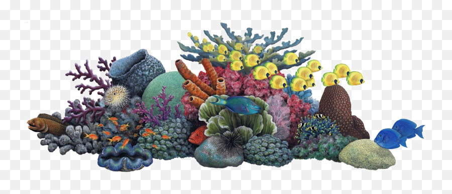 Coral Reef Clipart Png - Coral Reef Transparent Background,Coral Png