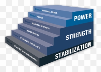 Performance Enhancement Specialist Nasm - png