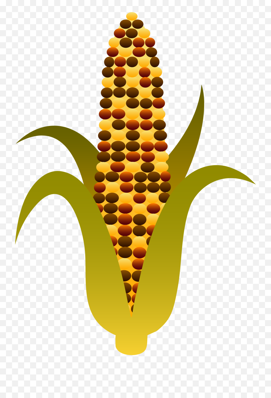 Corn Clip Art Coloring Page Png Files - Transparent Indian Corn Clip Art,Corn Clipart Png