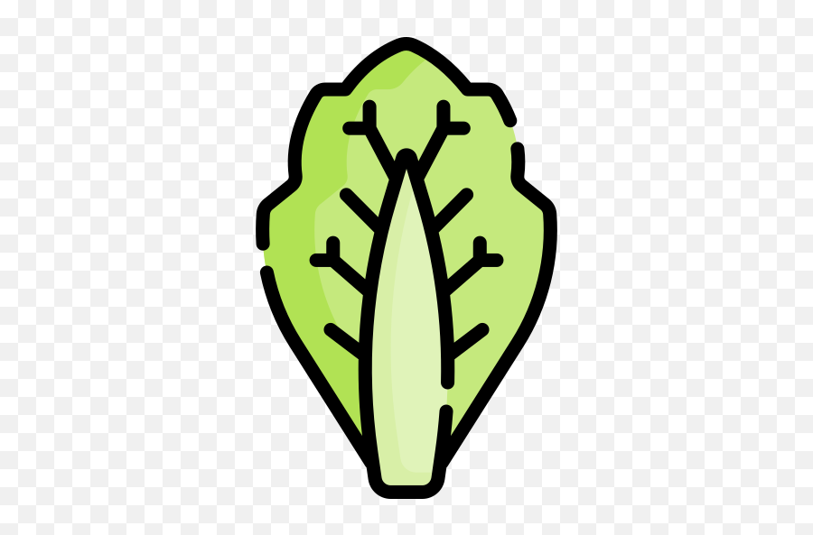 Cabbage - Free Food Icons Png,Cabbage Icon
