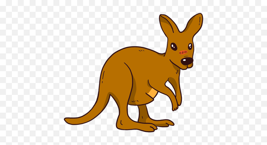 Tail Baby Kangaroo Ear Leg Flat - Canguro Png,Kangaroo Transparent Background