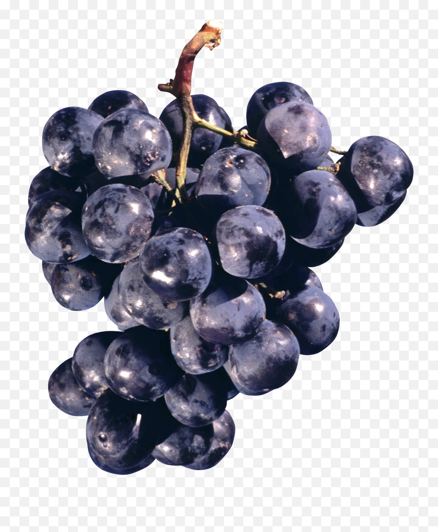Grape Png Image Free Picture Download - Transparent Purple Grapes Png,Grapes Png