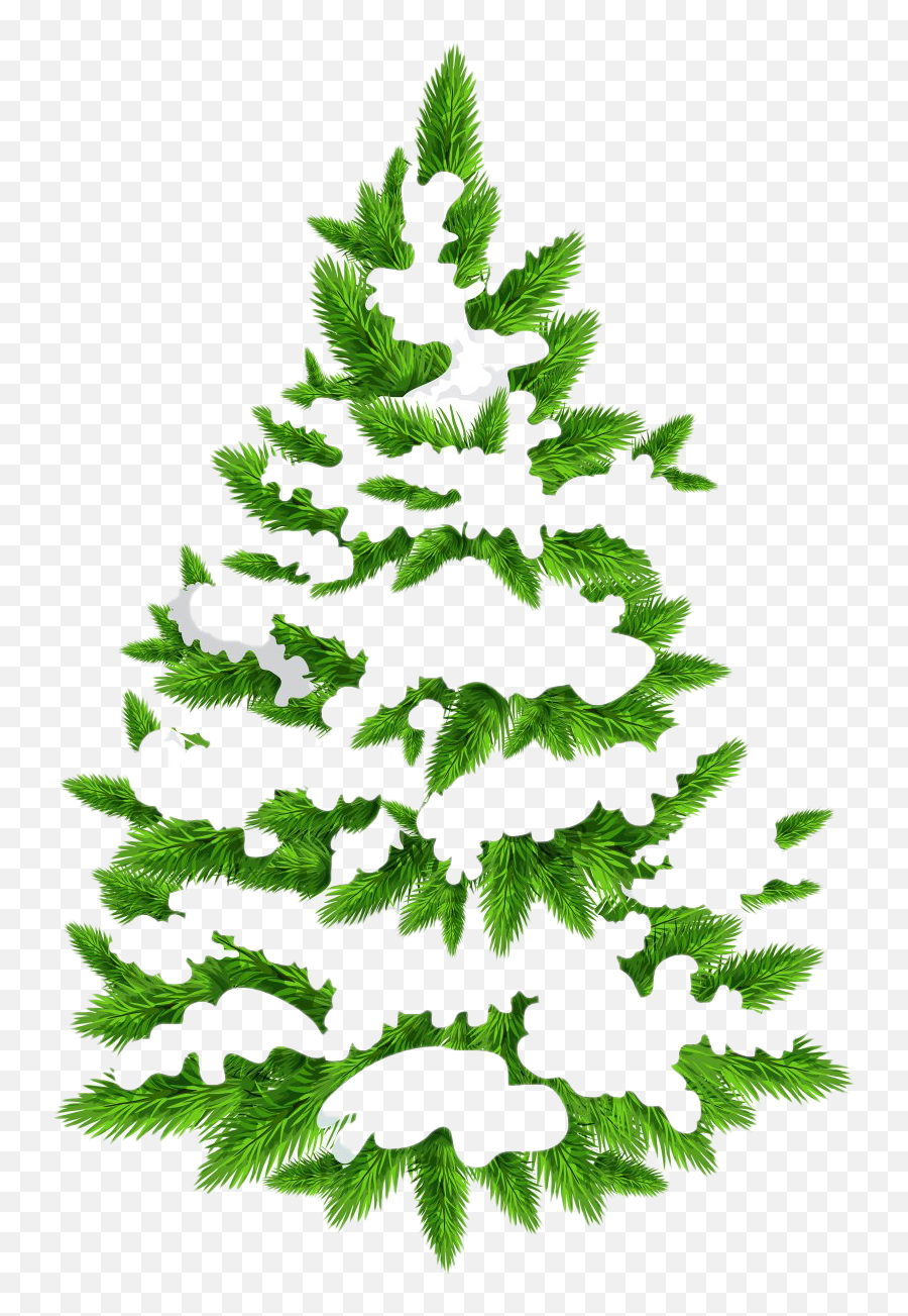 Christmas Pine Tree Png Hd - Christmas Snow Tree Png,Pine Tree Transparent Background
