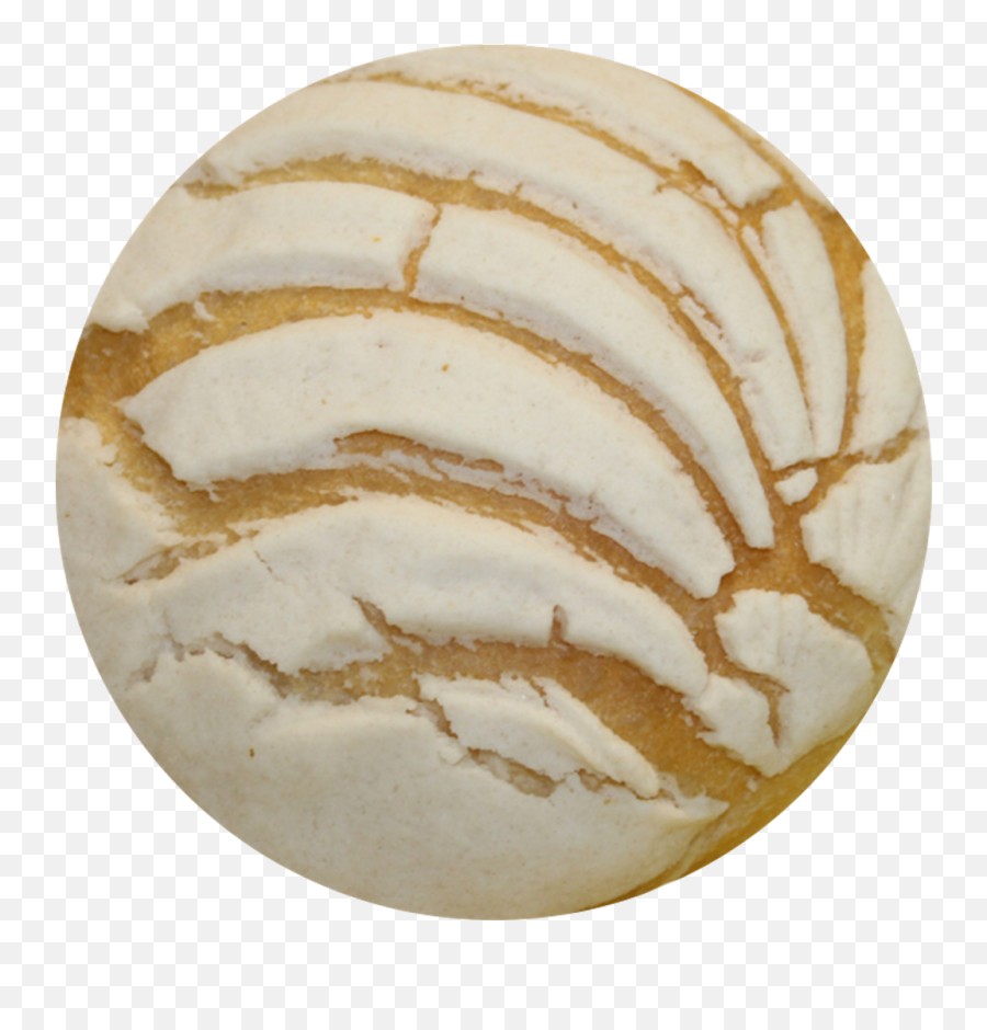 Concha De Pan Png - Transparent Pan Dulce Png,Concha Png