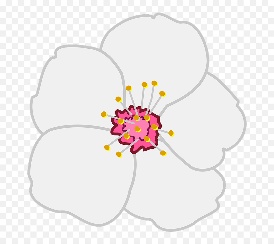 Corona De Flores Png Vector - Clip Art Library Almond Tree Flower Clipart,Flores Png