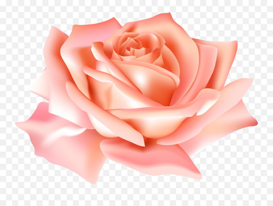 Peach Flowers Png Free - Blue Rose Png Transparent,Pastel Flowers Png