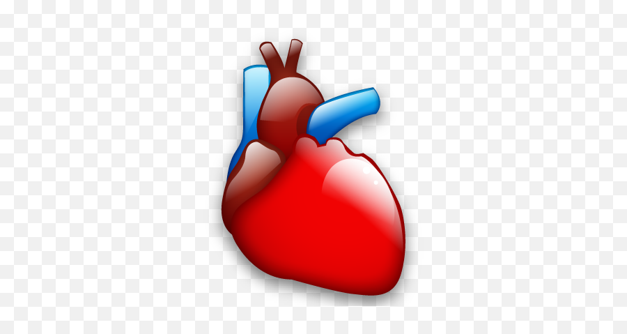 Cardiology Heart Organ Icon - Cardiology Icon Png,Heart Organ Png
