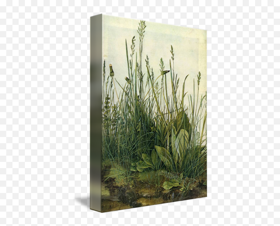 The Tall Grass By - Large Piece Of 1503 Png,Tall Grass Png