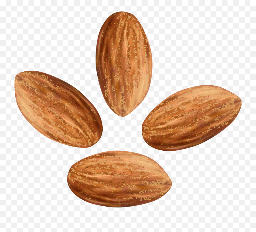 Hd Nuts Png Transparent Image - Transparent Almonds Clipart,Nuts Png