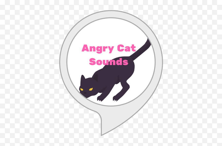 Alexa Skills - Black Cat Png,Angry Cat Png