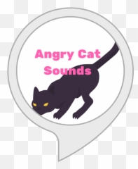 Alexa Skills - Black Cat Png,Angry Cat Png