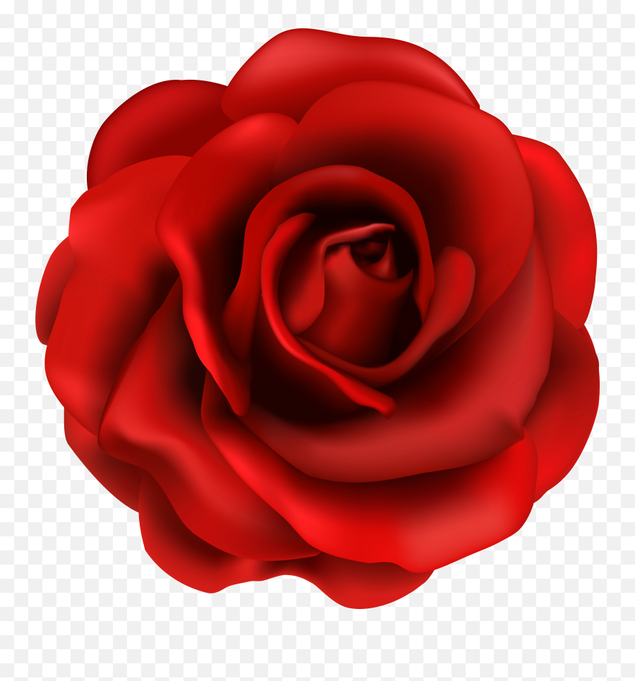 Red Rose Flower Png Clipart Image - Red Rose Clipart Png,Rose Flower Png