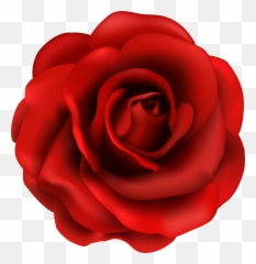 Red Rose Flower Png Clipart Image - Red Rose Clipart Png,Rose Flower Png