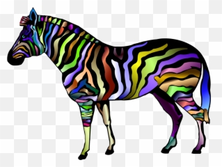 Ponyhorse Tackzebra Png Clipart - Royalty Free Svg Png Cmyk Animal Png,Zebra Png