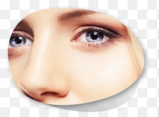 Eyelash Eyeliner U2013 Salon Png