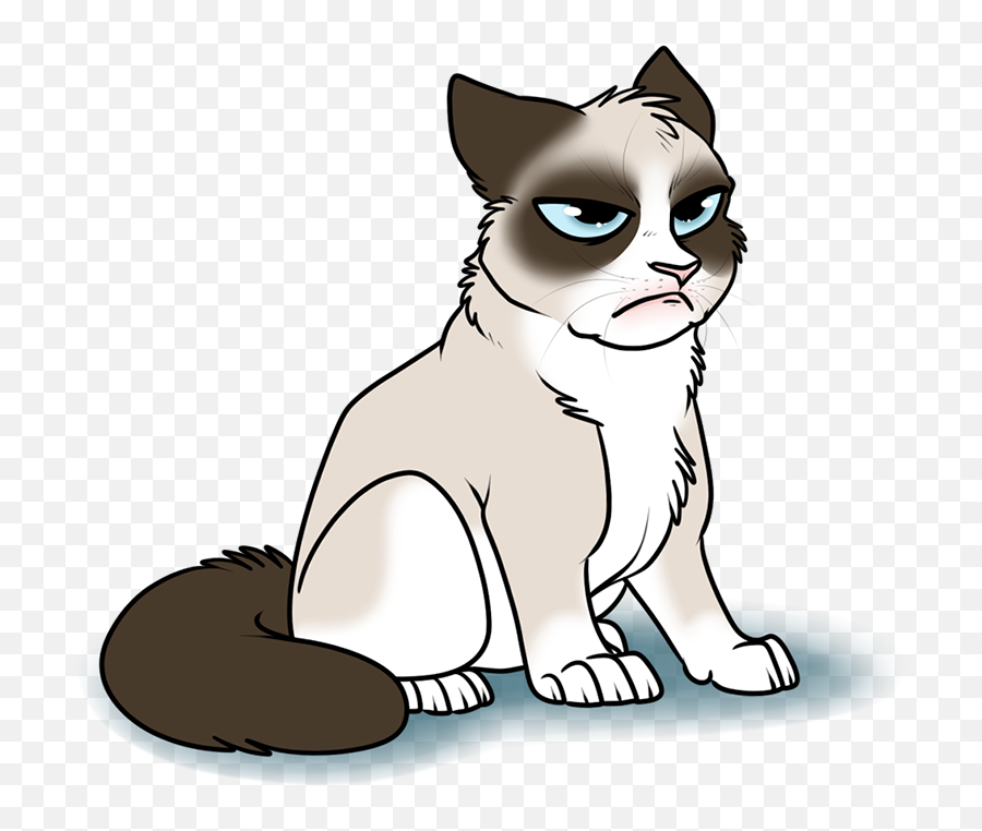 Scottish Fold Cat Dog Like Mammal - Cartoon Transparent Grumpy Cat Png,Grumpy Cat Png