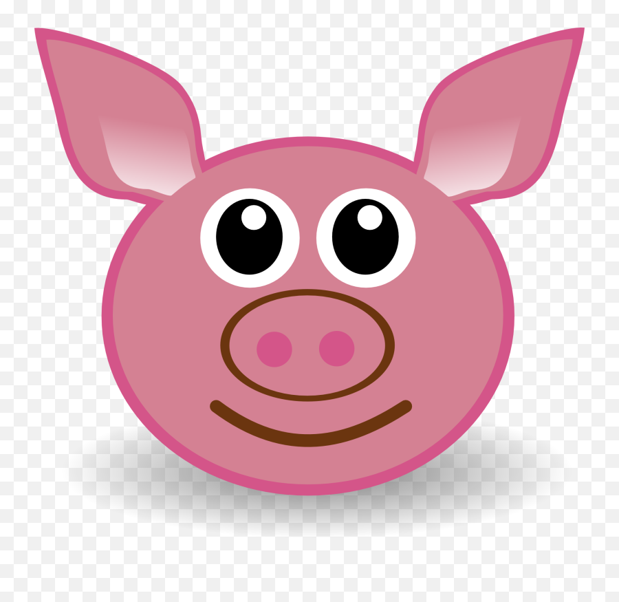 Funny Face Clipart Kid 4 - Clipartingcom Face Of A Pig Png,Funny Faces Png