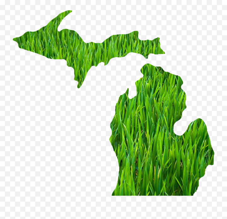 Download Michigan Outline Grass - Michigan Stickers Png,Michigan Outline Transparent