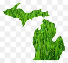 Download Michigan Outline Grass - Michigan Stickers Png,Michigan Outline Transparent