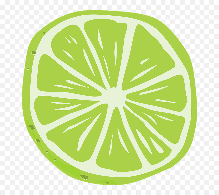 Lemon Lime Slice - Fatia De Limao Png,Lime Slice Png