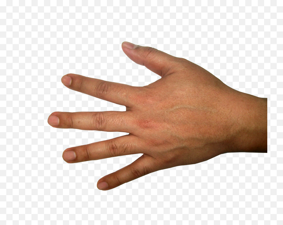 Five Finger Hand Png Image - Back Of Hand Transparent Background,Hand Transparent Png