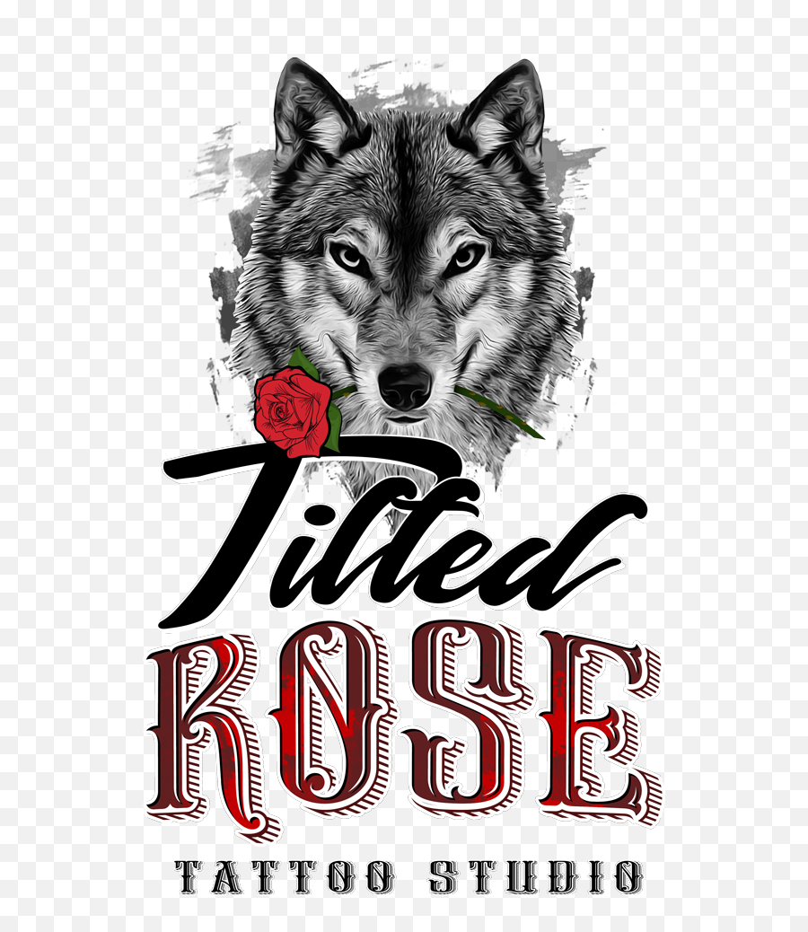 The Tilted Rose Tattoo And Art Studio - Czechoslovakian Wolfdog Png,Rose Tattoo Png