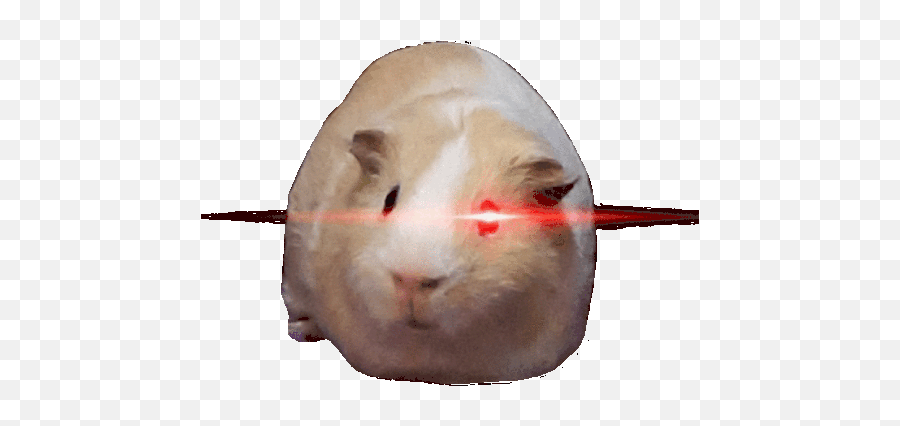 Red Eyes Meme Sticker - Red Eyes Meme Discover U0026 Share Gifs Hamster With Glowing Eyes Png,Red Eye Anime Icon