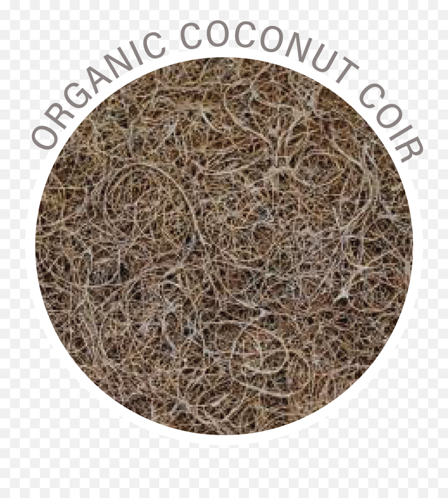 Organic Cocomat Eco Friendly Coconut Mattress Best - Rug Png,Airflow Icon Eco