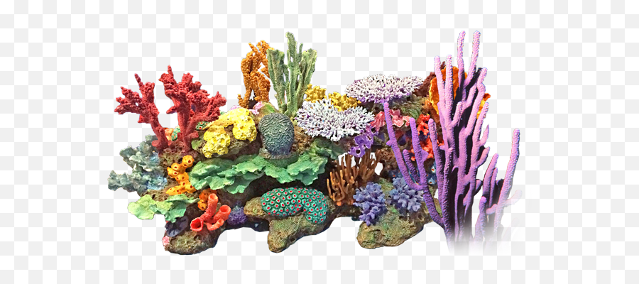 Coral Png 3 Image - Transparent Background Coral Reef Png,Coral Png
