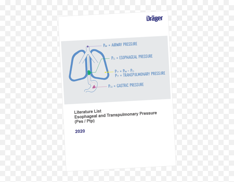 Electrical Impedance Tomography Draeger - Language Png,Pes 13 Icon