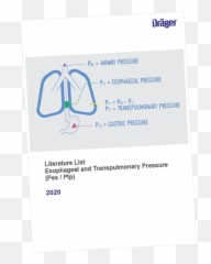 Electrical Impedance Tomography Draeger - Language png