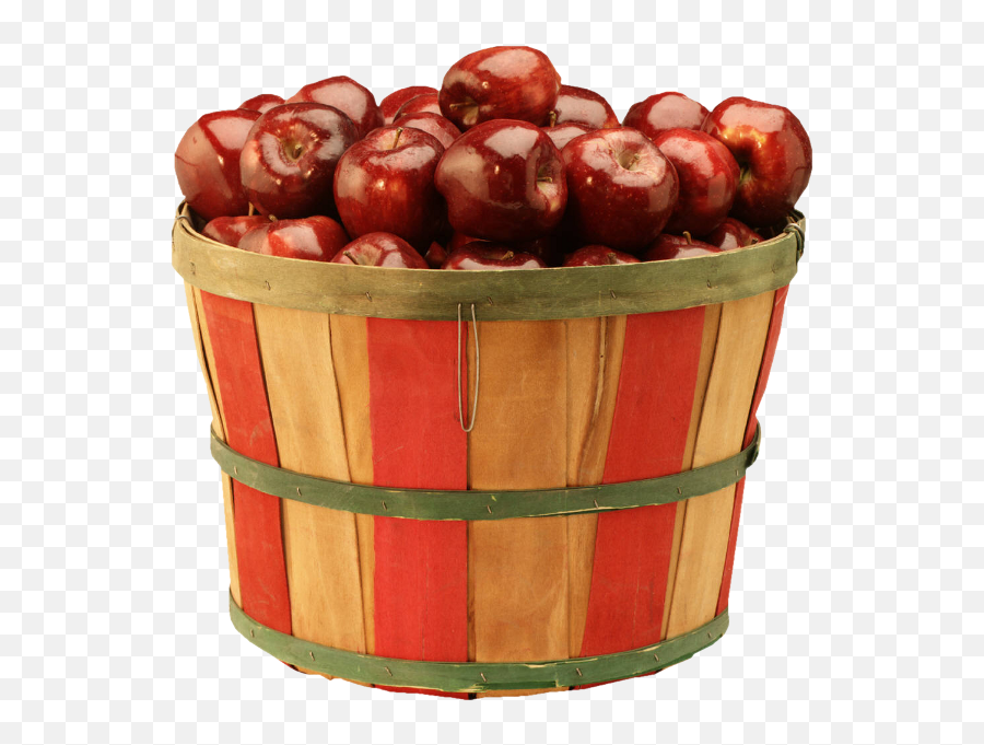 Download Free Apple Of Cider Pie Caramel Apples Basket Icon - Many Apples In Basket Png,Apple Pie Icon