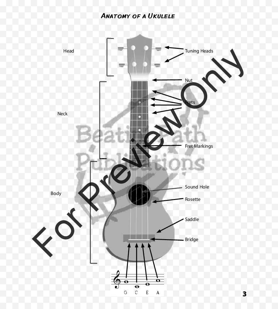 Strum It Up Book By Sandy Lantz U0026 Gretche Jw Pepper - My God My God Why Have You Abandoned Me Score Png,The Singer Of The Band Icon Pop Quiz
