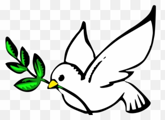 Download Dove Clipart Hope - Transparent Background Peace png