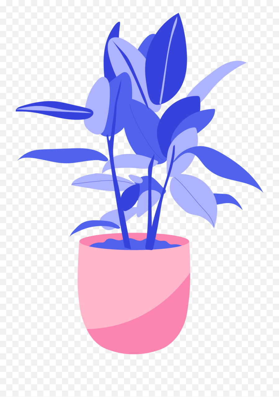 Aquarius Jan 20 - Feb 18 The Best Houseplant For Every Png,Cole Sprouse Icon Gif.