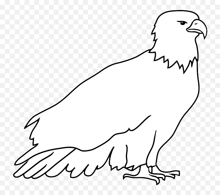 Bald Eagle Drawings - Outline Of Eagle Png,Bald Eagle Transparent