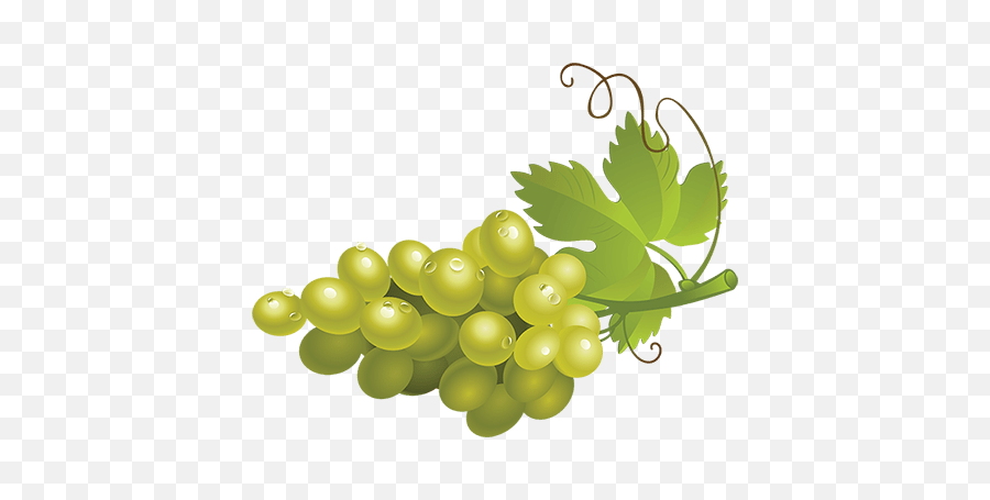 Download Green Grapes Png High - Quality Image Seedless Seedless Fruit,Grapes Png