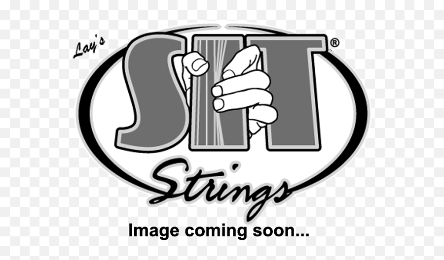 Scott Totten - Sit Strings Logo Png,The Beach Boys Logo