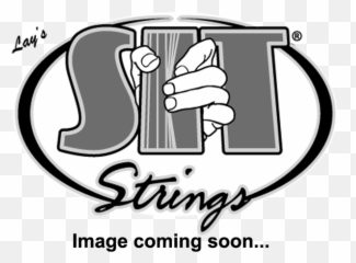 Scott Totten - Sit Strings Logo Png,The Beach Boys Logo