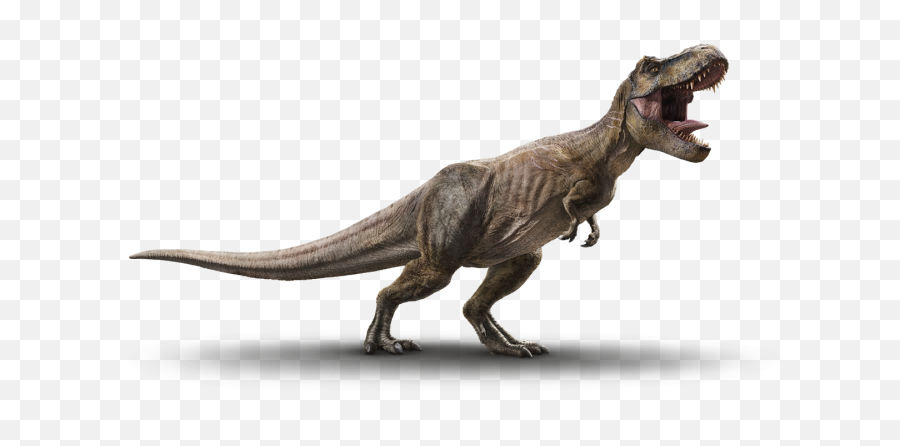 Tyrannosaurus Rex - Jurassic World T Rex Png,Tyrannosaurus Rex Png