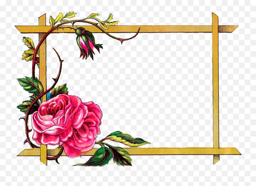 Digital Clipart Craft Rose Border - Border Frame Flower Design Png,Rose Border Transparent