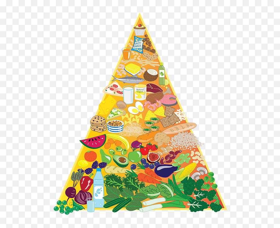 Childrenu0027s Nutrition Foodspa - Christmas Tree Png,Food Pyramid Png