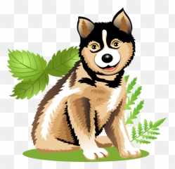 Free Png Animal - Konfest,Husky Png