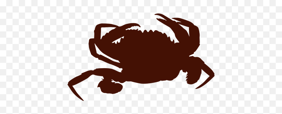Dungeness Crab Silhouette Clip Art - Crab Png Download 512 Silhouette Of Dungeness Crabs,Crabs Png