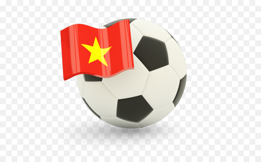 Download Oman Won Football Flag - Football With Vietnamese Flag Png,Oman Flag Png