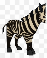 Grevyu0027s Zebra World Of Zoo Game Wiki Fandom - Zebra Png,Zebra Png