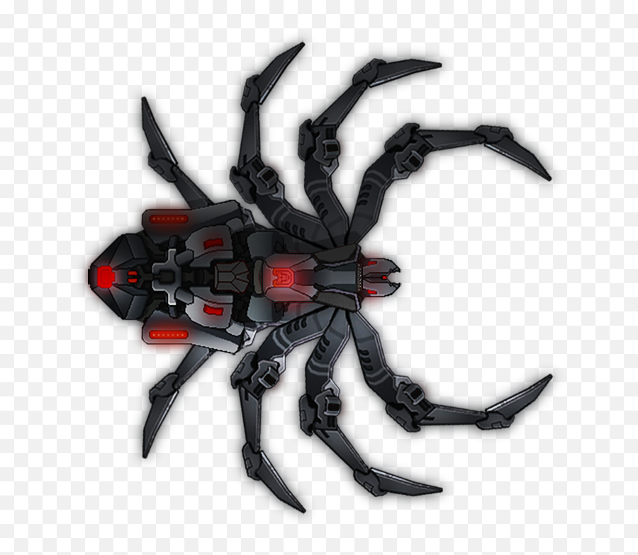 Download Hd Shipae Spider Black Widow - Black Widow Black Widow Tarantula Spider Png,Black Widow Spider Png