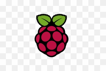 Raspberry Pi Logo Transparent Png - Raspberry Pi Logo,Pi Png