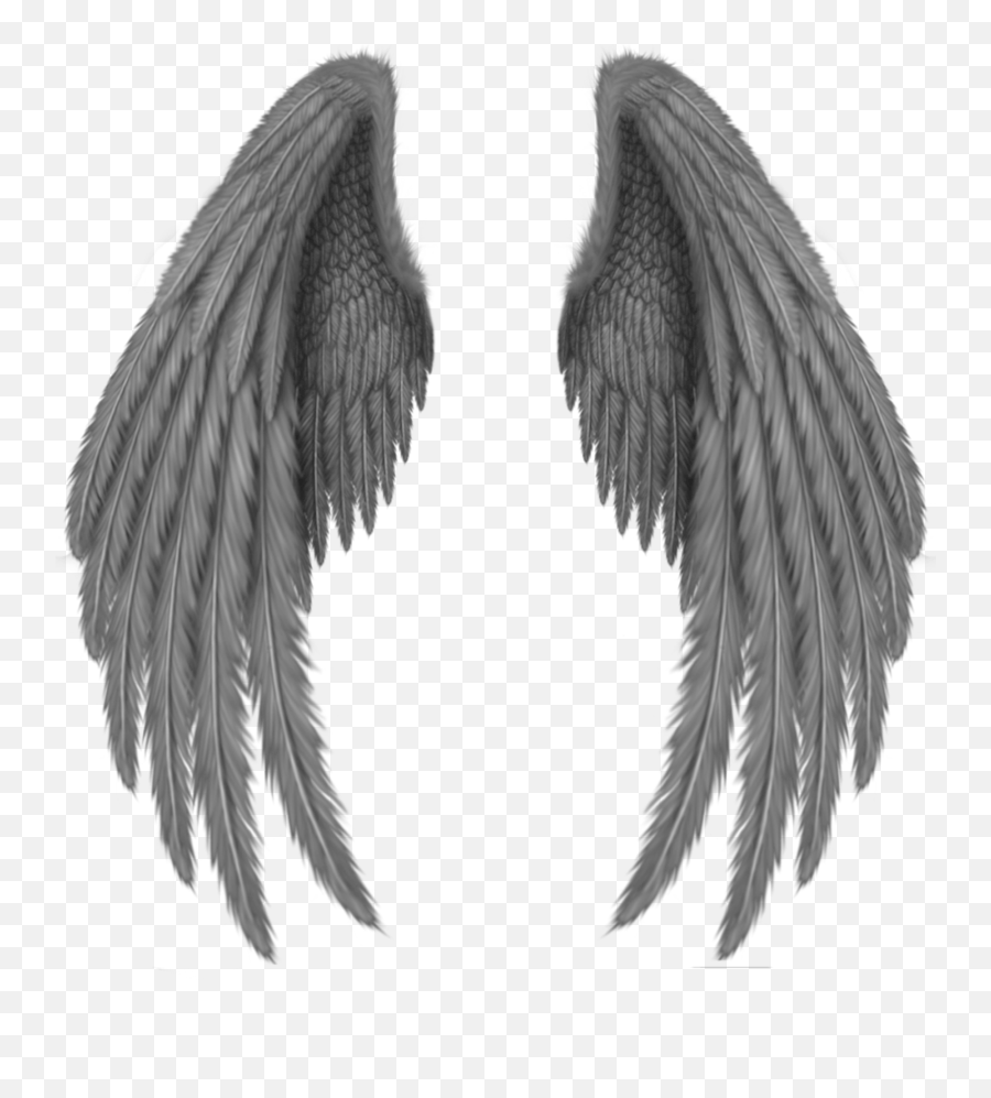 Black Wings Png Image In 2020 - Angel Wings Png,Angel Wing Png